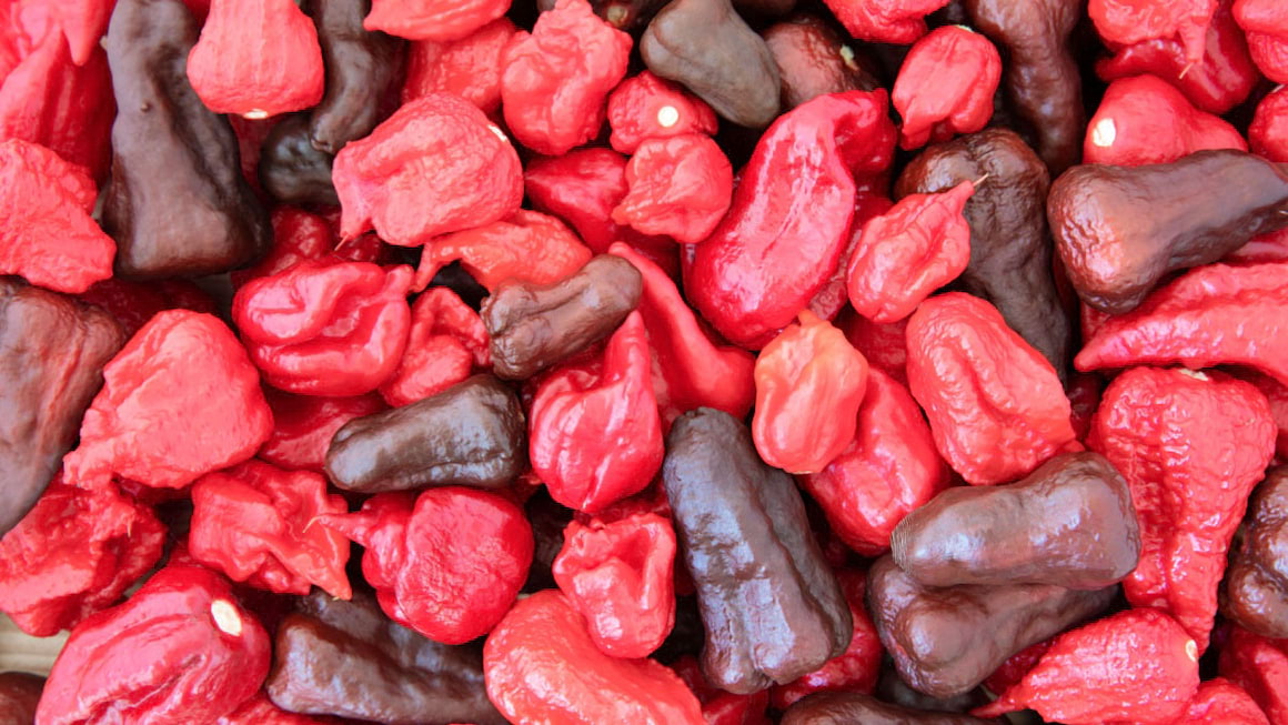 Cele mai picante soiuri de ardei iute
